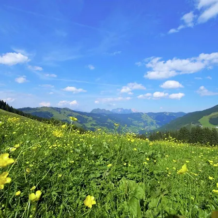 Charming Chalet With Sauna In Saalbach Hinterglemm Chalet